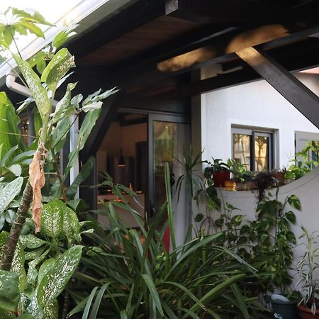 Luxury Cosy Guesthouse Pamplemousses Buitenkant foto